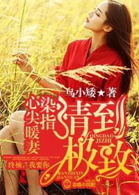 情到极致,染指心尖暖妻封面