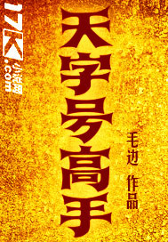 天字号高手封面