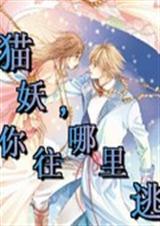 猫妖,你往哪里逃 猫妖,你往哪里逃