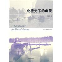 北极光下的幽灵封面