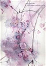 ��������α��