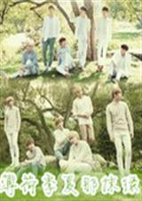 薄荷季夏那抹绿 薄荷季夏那抹绿