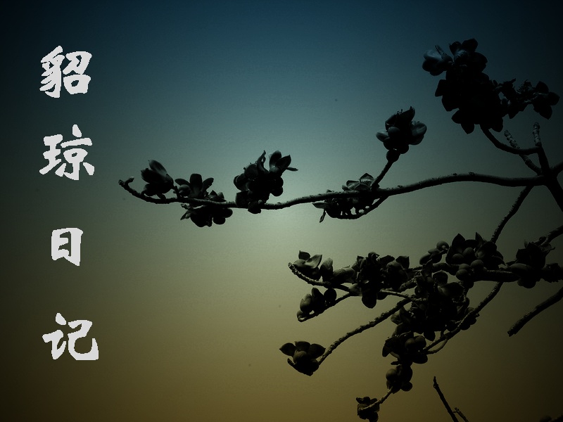 貂琼日记 貂琼日记