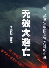 中国贪官无效大逃亡封面