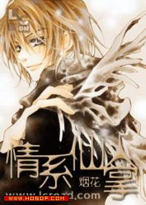 情系仙人掌 情系仙人掌