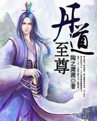 丹道至尊封面