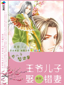 王爷儿子娶错妻封面