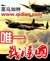 唯一战胜国封面