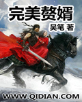 完美赘婿封面