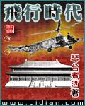 飞行时代封面