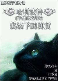 HP伪装下的真实 HP伪装下的真实