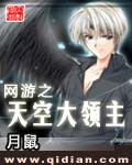 网游之天空大领主 网游之天空大领主