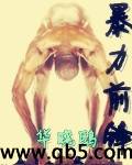 暴力前锋 暴力前锋