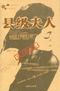 县级夫人封面