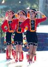 三胞胎替母寻夫 三胞胎替母寻夫