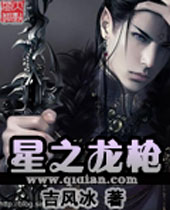 星之龙枪封面