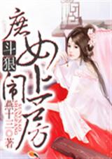 斗狠:庶女闹上房封面