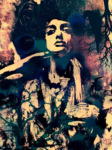 ���鷷������