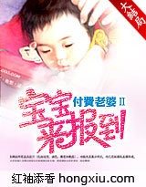 付费老婆Ⅱ宝宝来报到封面