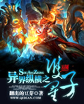 异界纵横之双子星 异界纵横之双子星