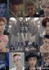 ����ʮ�������������