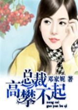 总裁,高攀不起 总裁,高攀不起