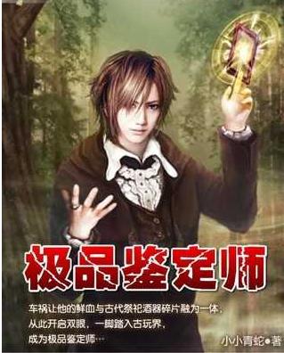 极品鉴定师(全文番外)封面