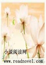 梦美易碎 梦美易碎