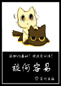 谈何容易 谈何容易