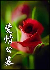 爱情公墓 爱情公墓