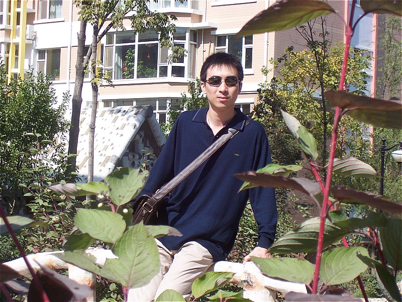 ��ʹ������