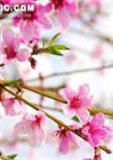 һ�����¼��һ�