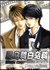 黑乌鸦白乌鸦封面