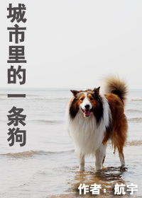 �������һ����(ȫ��)