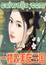 一揽众美在三国激情全本封面