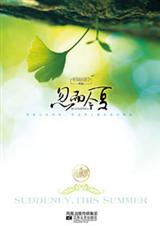 忽而今夏封面