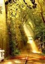 ��һ�������ʮ�ּܷ���