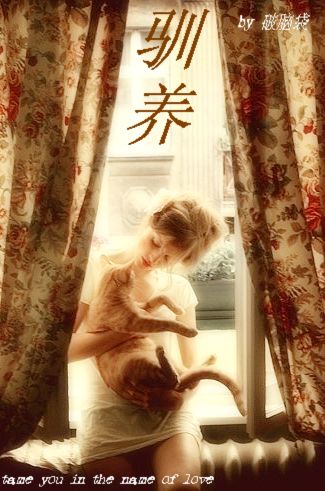 驯养+番外 驯养+番外