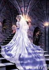 校花校草谁最拽 校花校草谁最拽