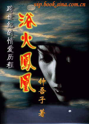 情缘孽海:浴火凤凰封面