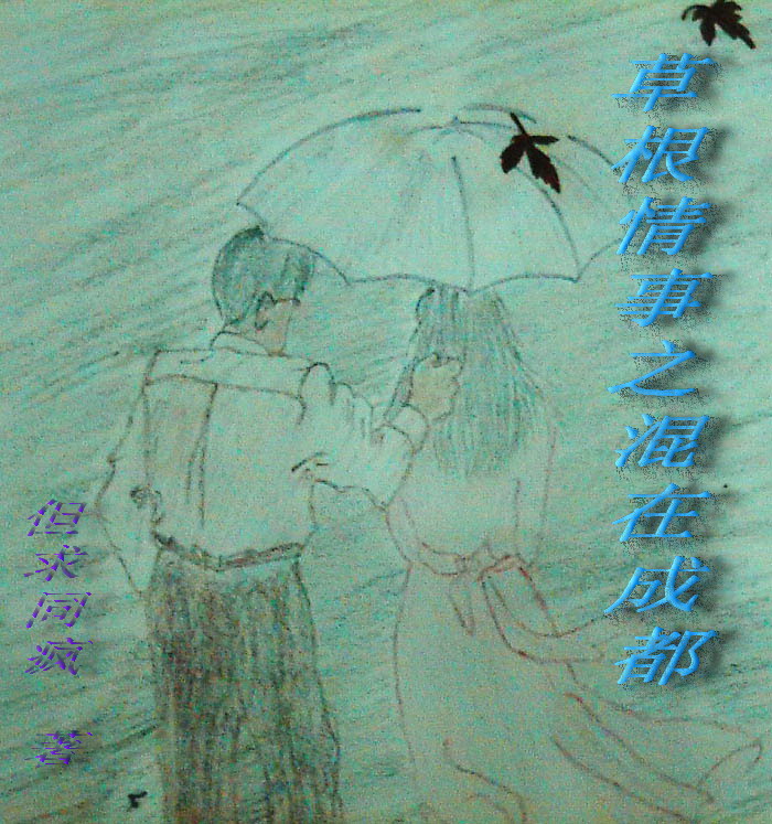 草根情事之混在成都封面