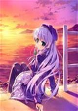 ���µľ�������