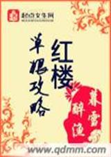 红楼草根攻略 红楼草根攻略