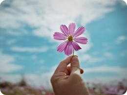 人生如梦 人生如梦