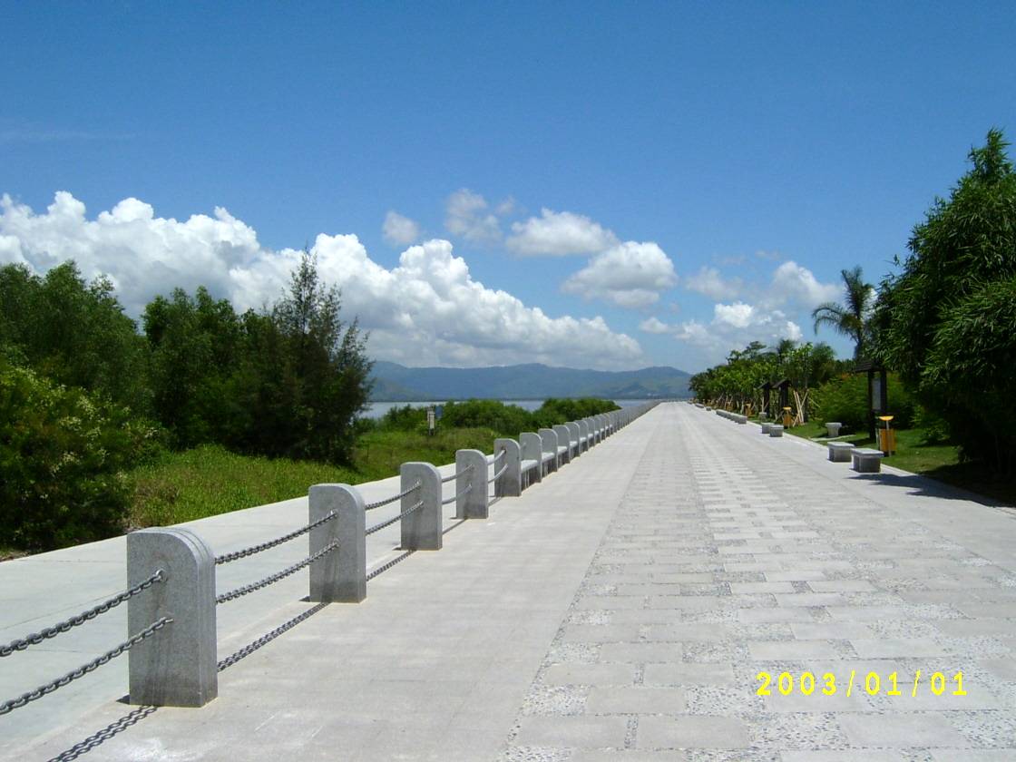 那片南方的海 那片南方的海