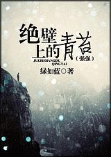 绝壁上的青苔封面