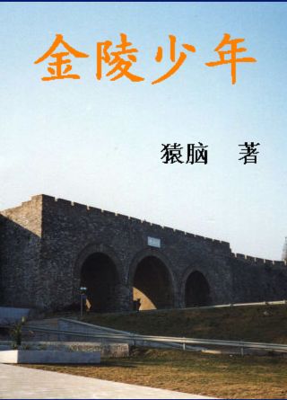 金陵少年封面