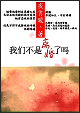 我们不是离婚了吗封面