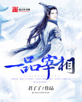 一品宰相 一品宰相