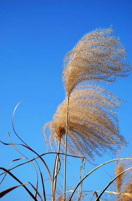 ħ�ö���:�氮�綾